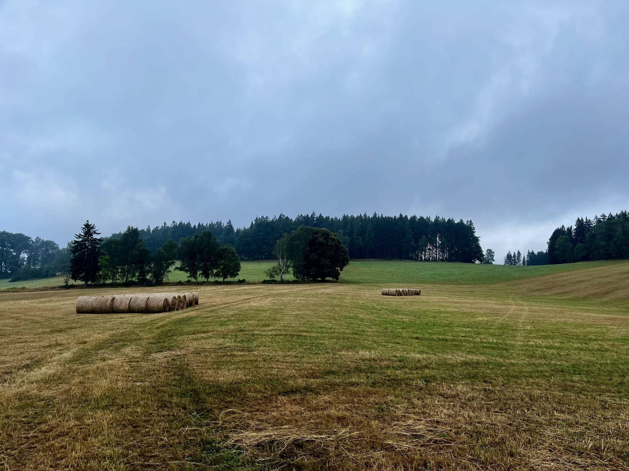 Pokosené lúky s balíkmi sena nad Hronovom