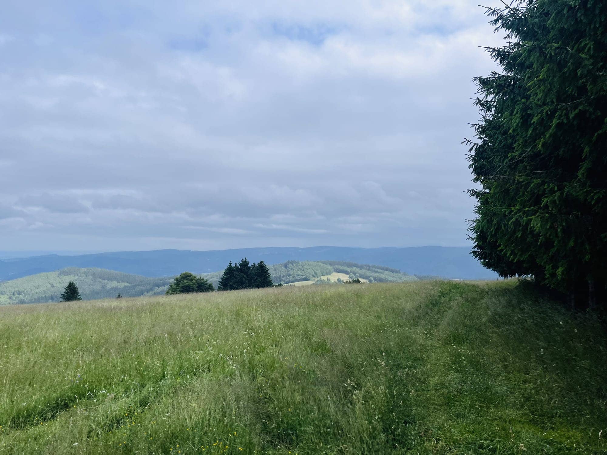 Lúka s výhľadom na hrebene Krušných hôr