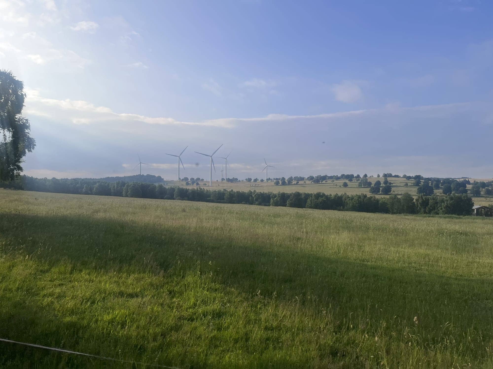Lúka a veterné turbíny v diaľke