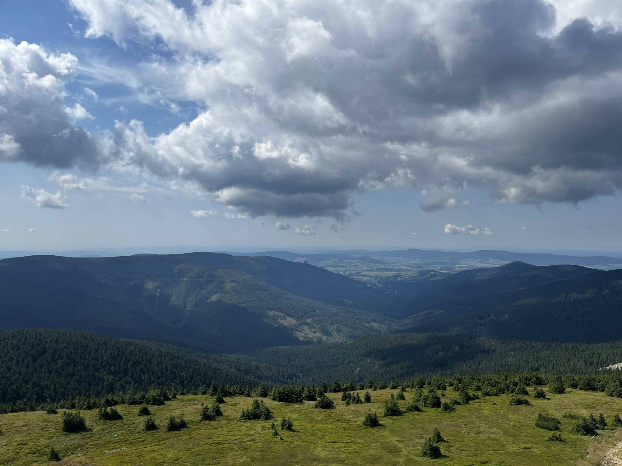 Výhľad z Králického Snežníka na zalesnené doliny