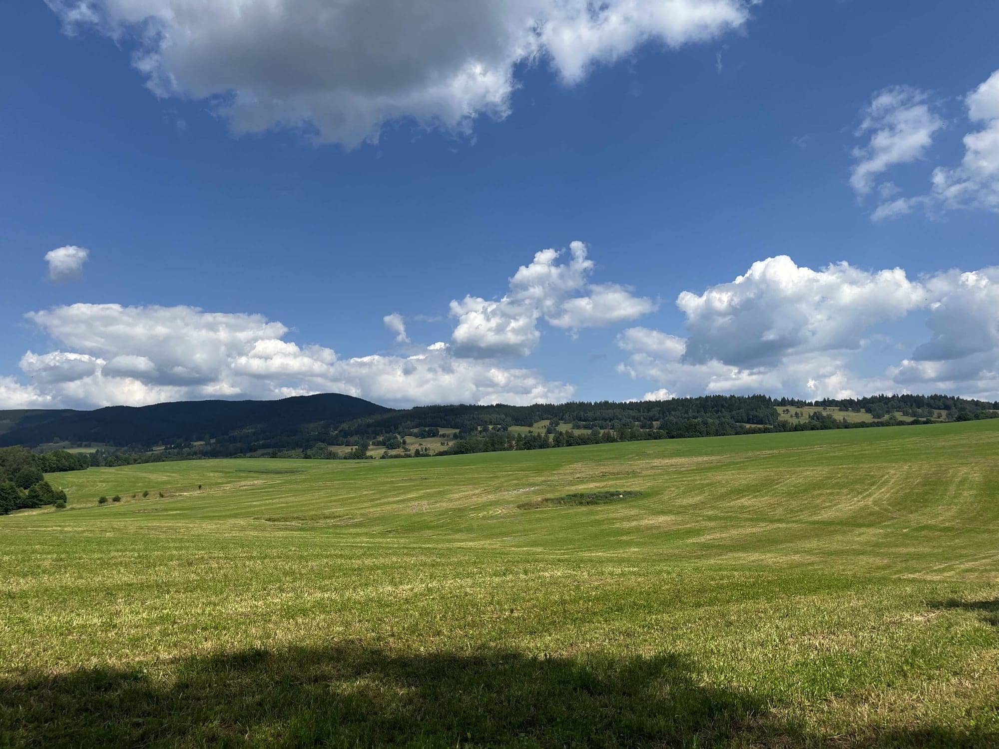 Pokosené lúky Hanušovickej vrchoviny